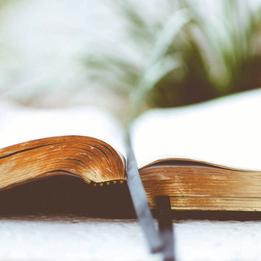 Lifestyle Books